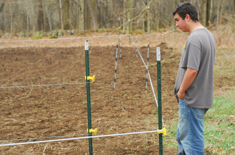 How to Protect your Food Plots with an Electric Fence