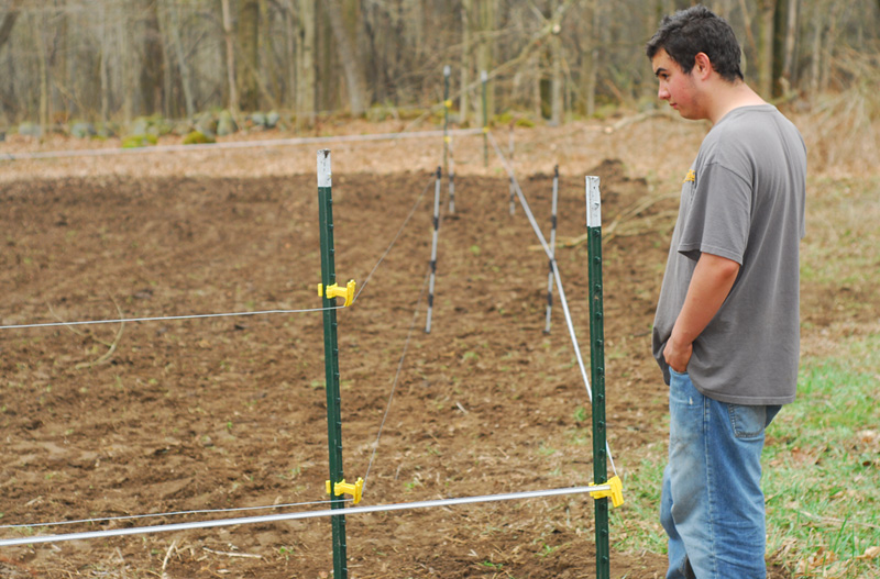 Carls Fence Nj Double Fence To Keep Deer Out