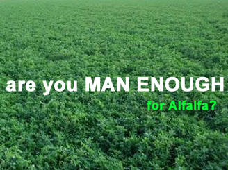 Are you Man Enough to plant Alfalfa 