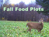 Plant your fall food plots now!