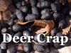 Deer Droppings - A Reference