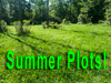 Why you need Spring/Summer Plots