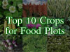 Top Ten Food Plots - North/South