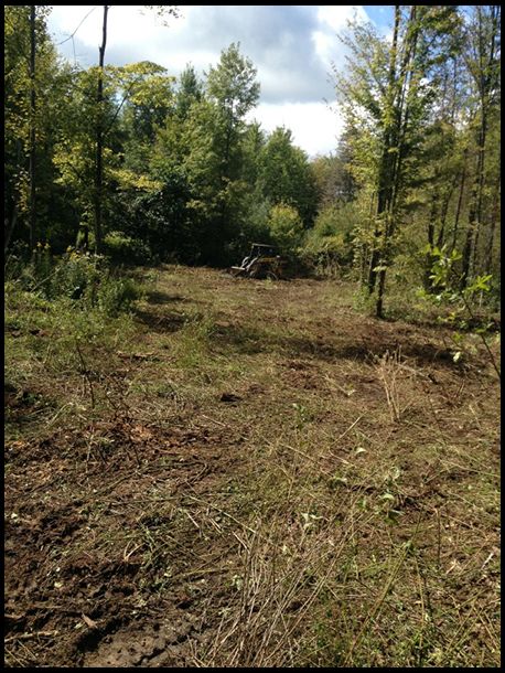 First hunting plot cleared in the timber