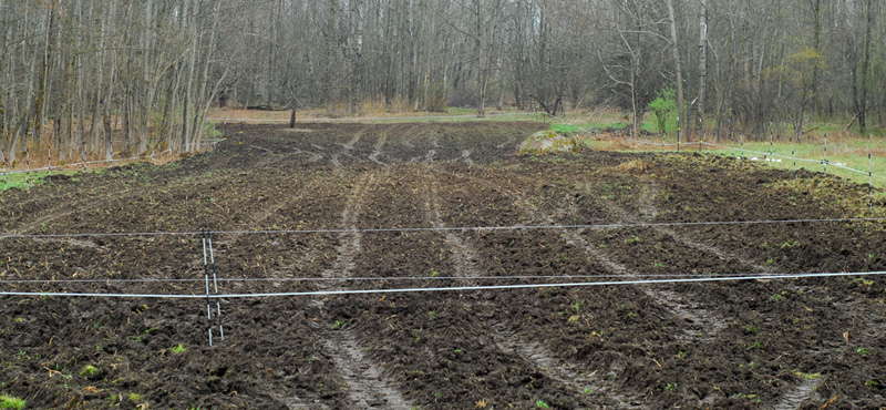 Final Electric Fence for Food Plot