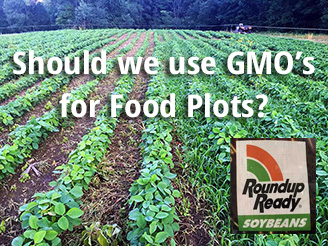 GMO in Food Plots?