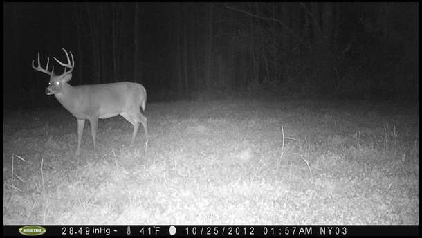 This big 8 lived and bedded on my property. He was a heck of a buck. Good news is he likely bred a bunch of does before he was shot the last week of November.