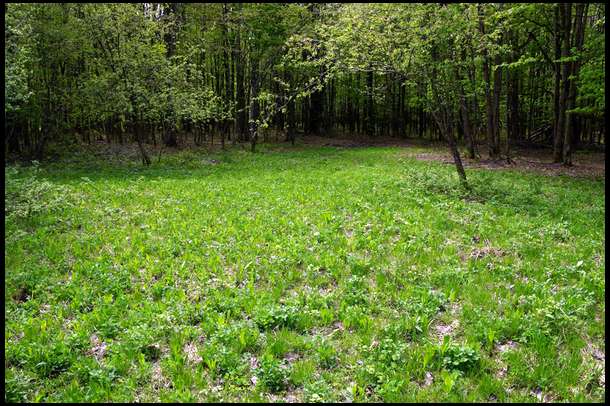 Expected mud here but surprisingly much of the plot has emerged as a perennial. 