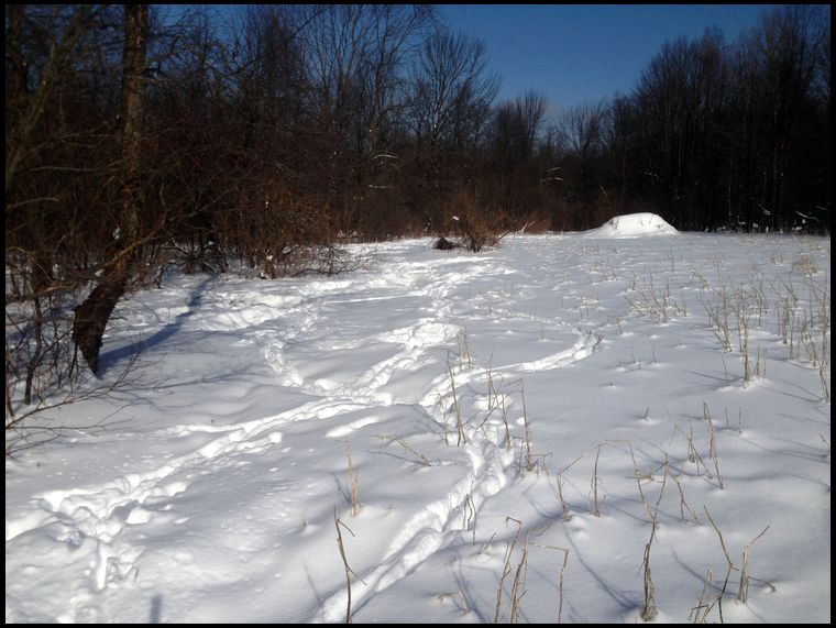 The left where the tracks are located is on the clover, the right is the soybeans.