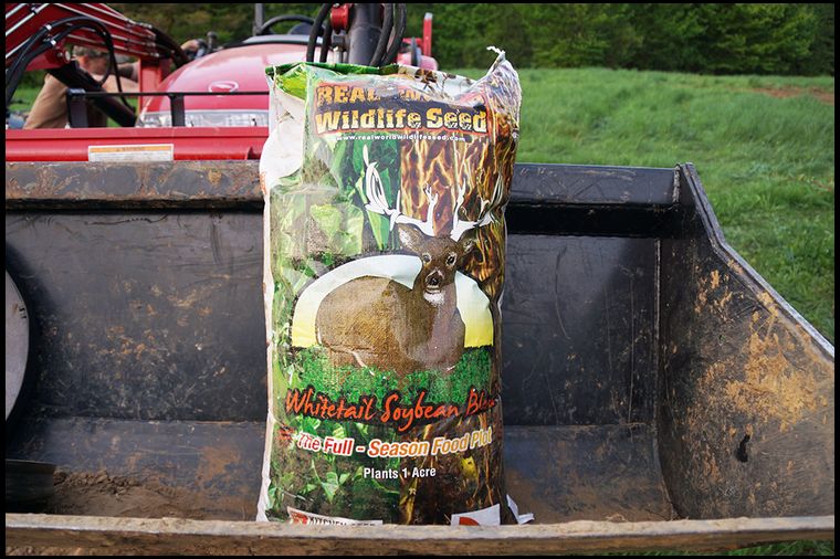 For soybeans this year we decided to test Real World beans. The Eagle's grew terrific, but I wanted more actual beans and less forage to try. Both the corn and beans are RR ready.