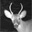 Food Plot Forums