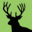 Food Plot Forums