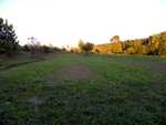 food plot about 30 days in