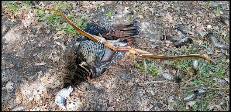 That following spring got my first turkey with my recurve after trying for years with near misses and blown opportunities.