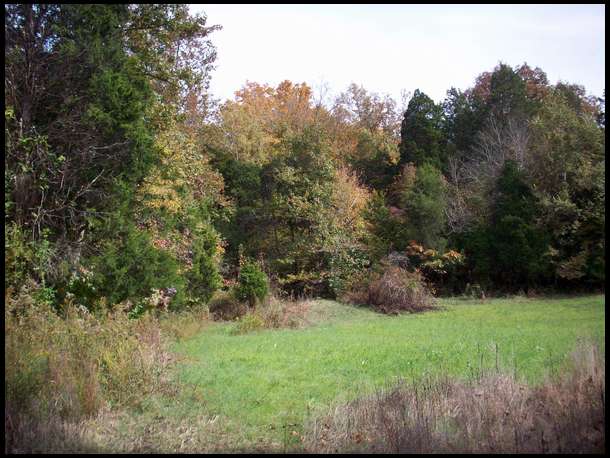 1 ACRE FOOD PLOT ACROSS FROM 50 ACRE RIVER BOTTOM FIELD