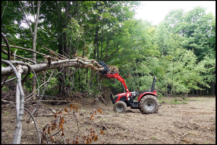 Woods 6' Root Grapple.