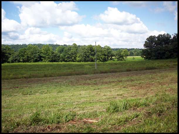 12 ACRE PASTURE BEING CONVERTED TO FOOD PLOT